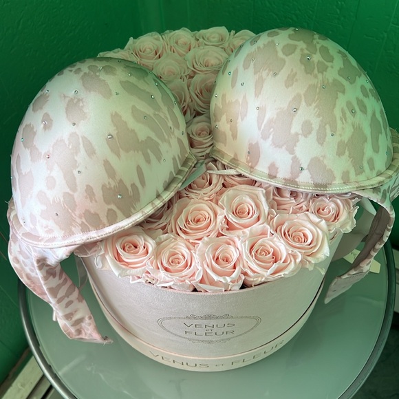 RARE sold out rhinestone 38D miraculous plunge Victoria’s Secret push up bra NWT - Picture 1 of 7